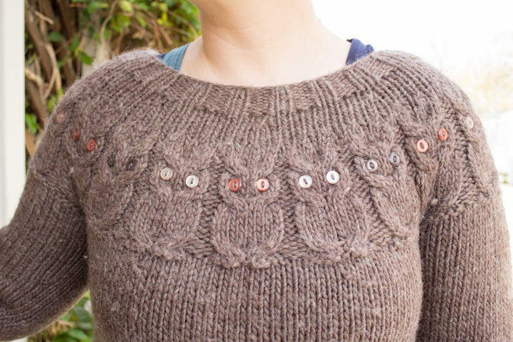 Kristen's Owl Sweater - Main Image 1