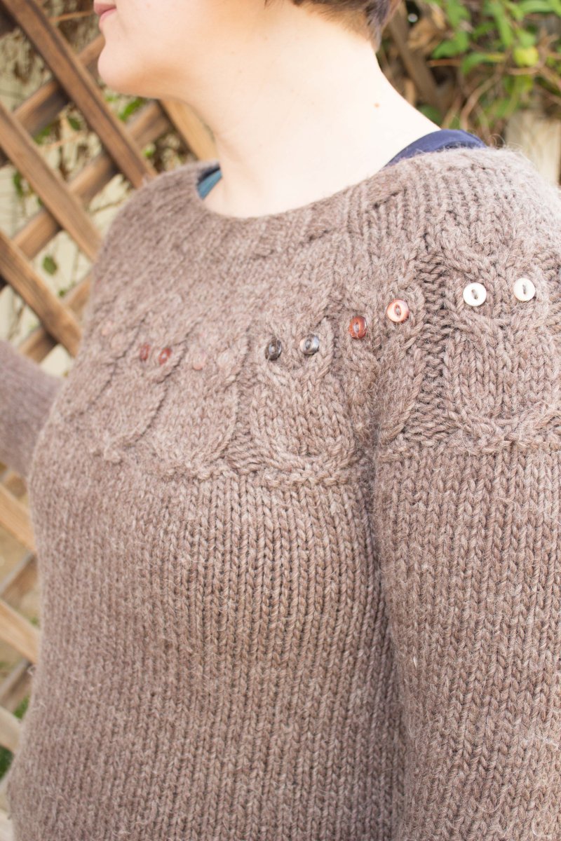 Kristen's Owl Sweater - Main Image 4