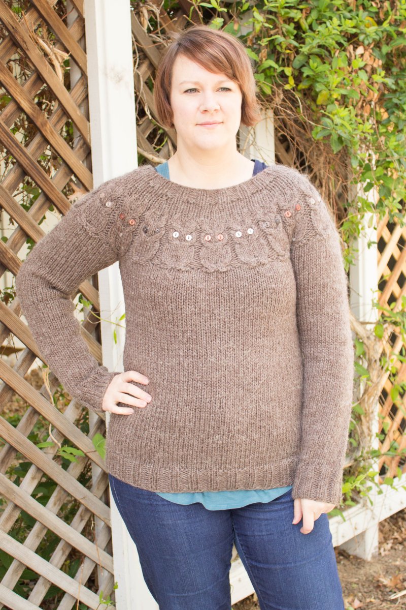 Kristen's Owl Sweater - Main Image 3