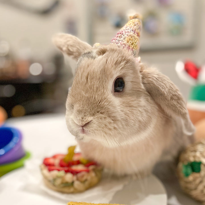 Amelia & Elizabeth's Paw-ty Hats - Main Image 6