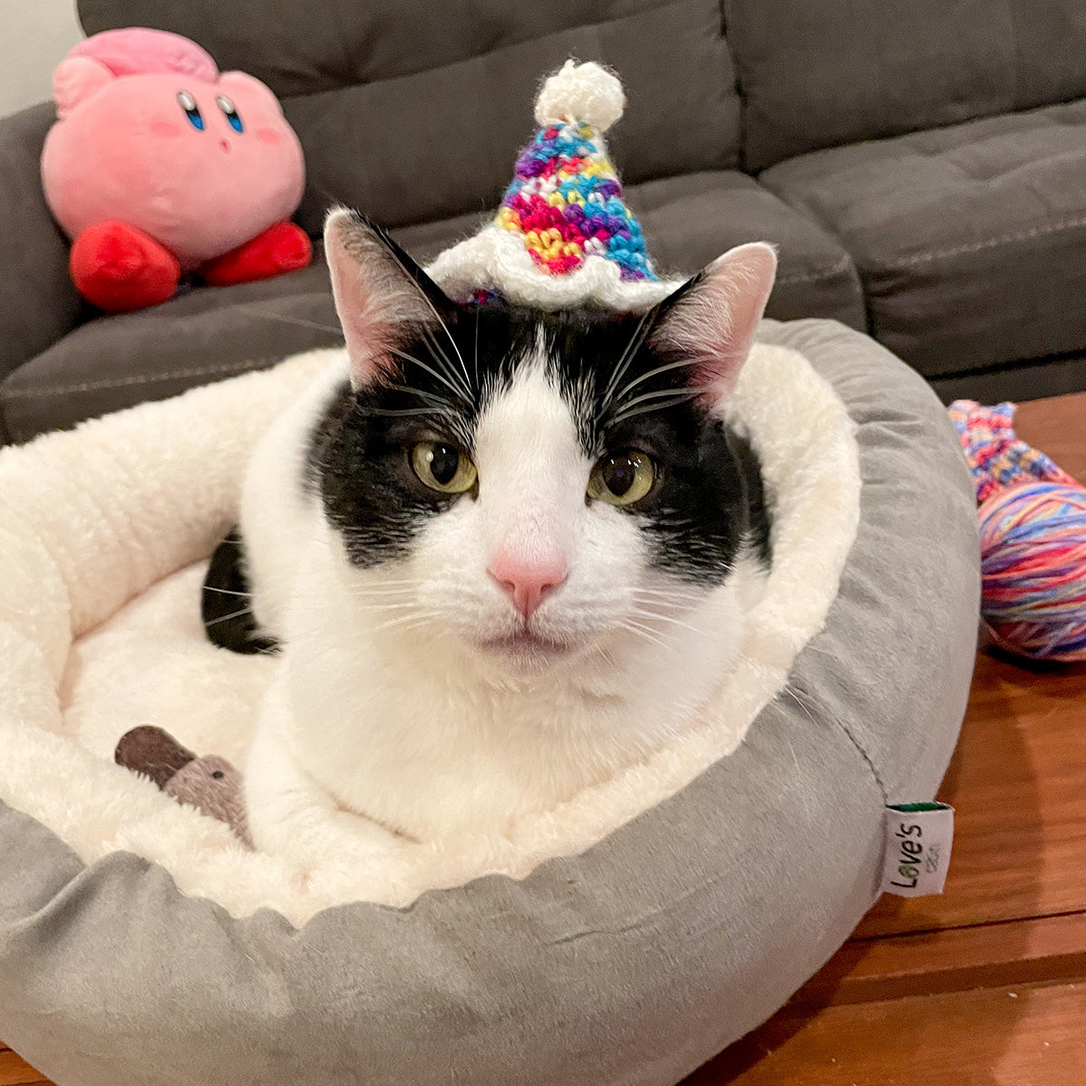 Amelia & Elizabeth's Paw-ty Hats - Main Image 2
