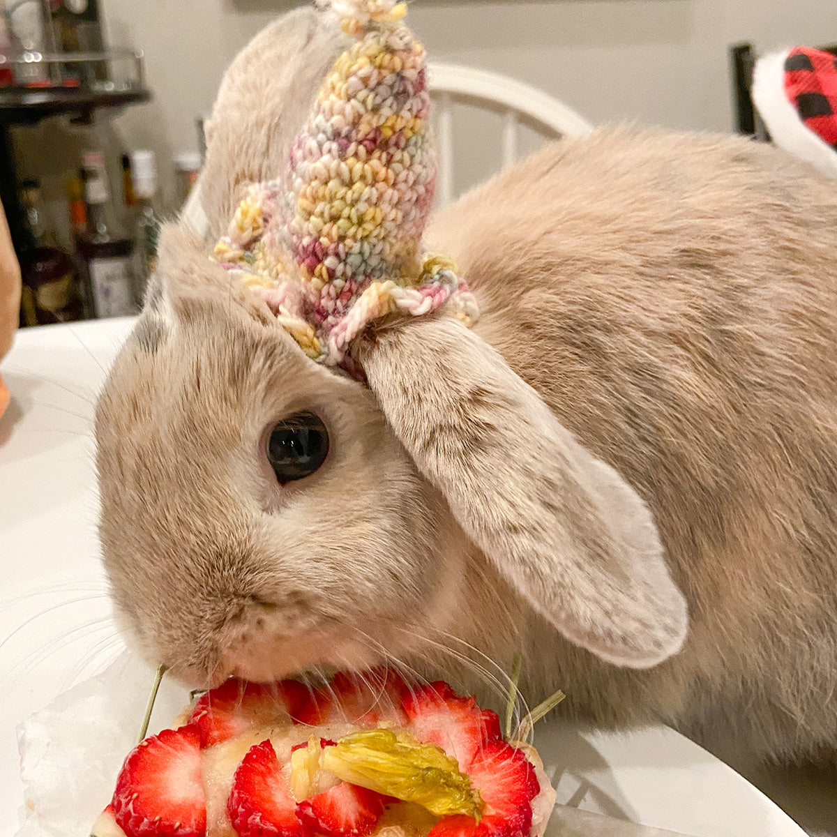 Amelia & Elizabeth's Paw-ty Hats - Main Image 5