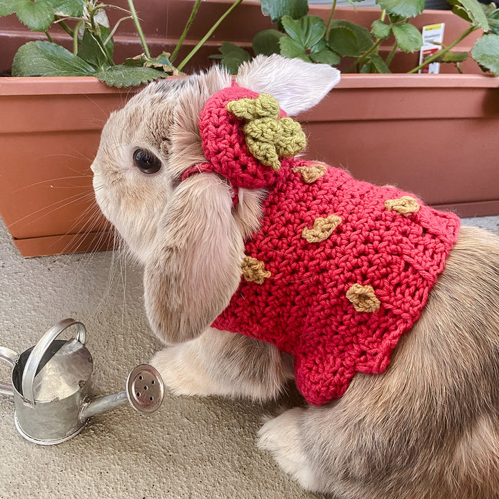 Elizabeth's Strawberry Costume Pet Sweater - Main Image 3