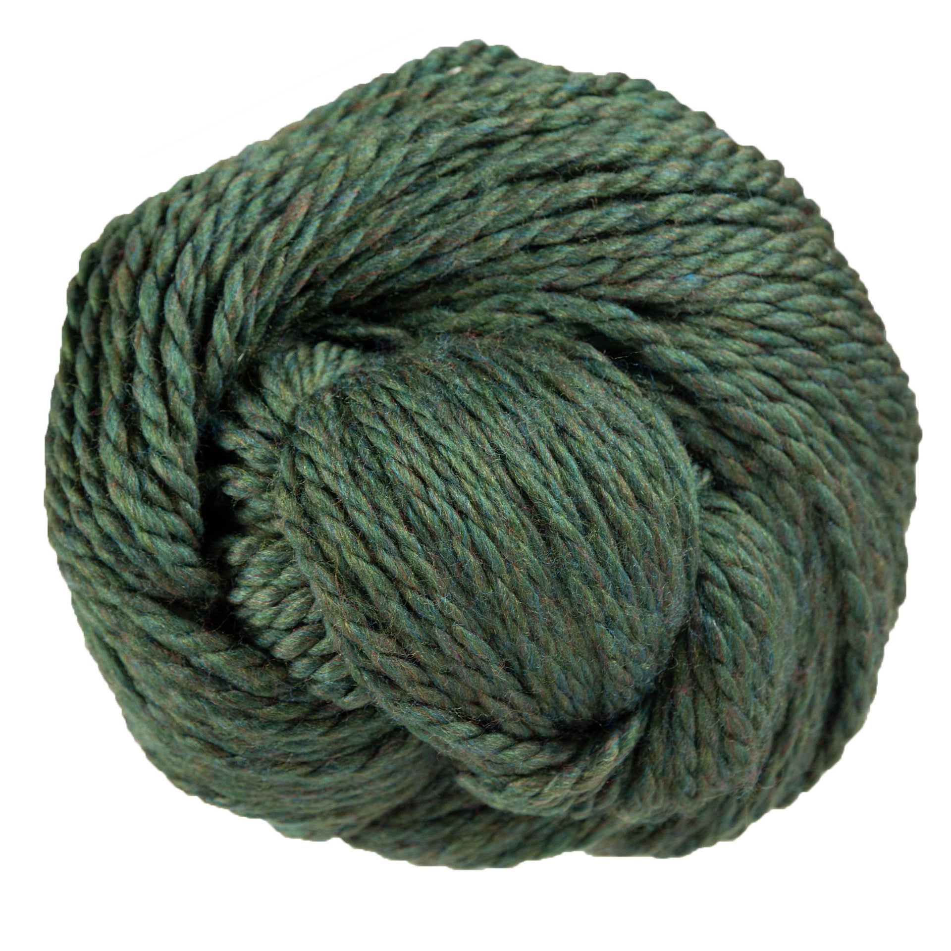 Cascade Yarns 128 Superwash Yarn - 867 Lichen - Zoom Image
