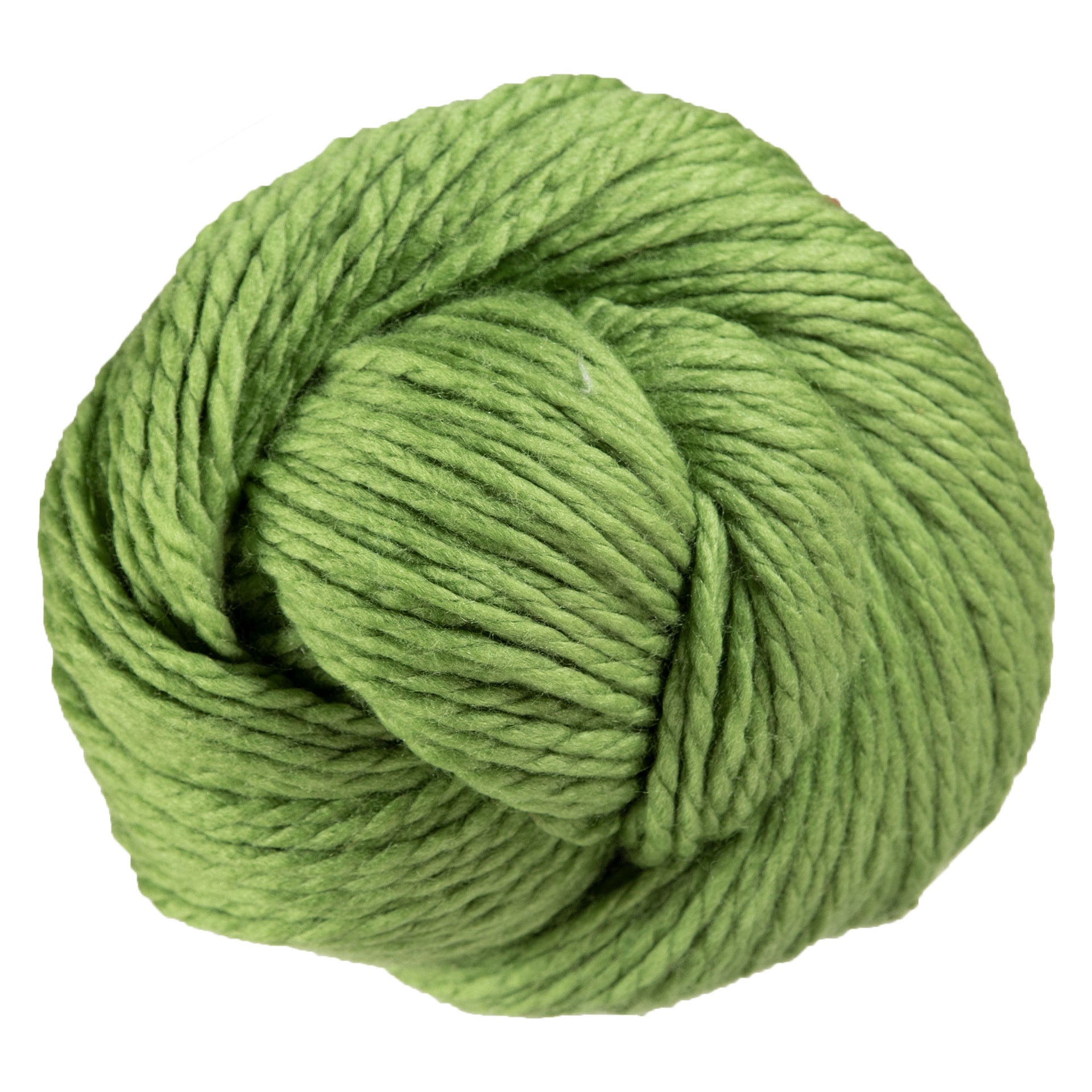 Cascade Yarns 128 Superwash Yarn - 841 Moss - Zoom Image
