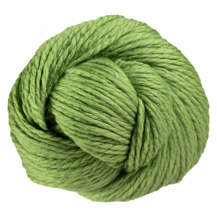 Cascade Yarns 128 Superwash Yarn - 841 Moss - Zoom Image