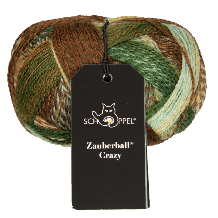 Schoppel Wolle Zauberball Crazy Yarn - 1660 - Extra Image