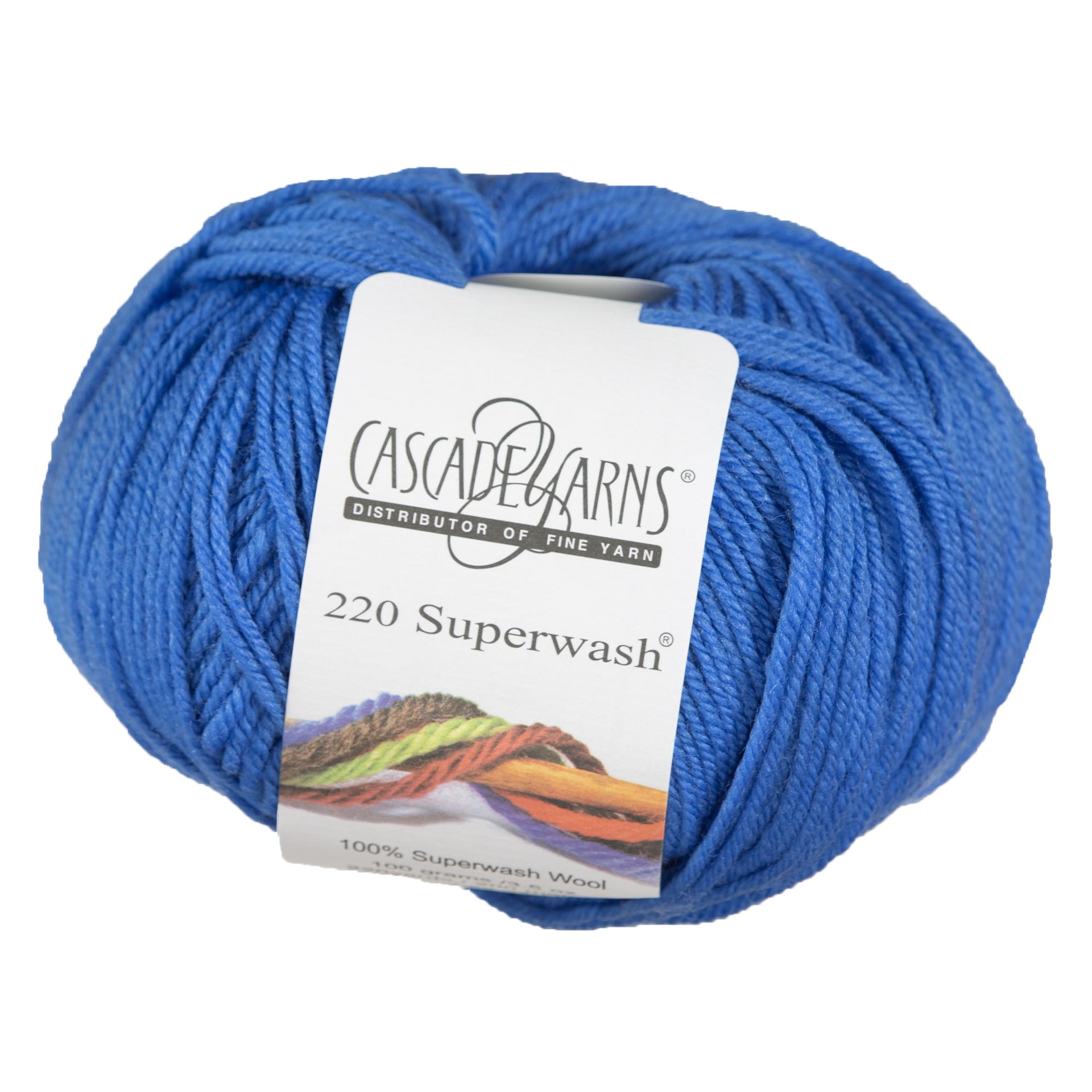 Cascade Yarns 220 Superwash Yarn - 0883 Puget Sound - Zoom Image
