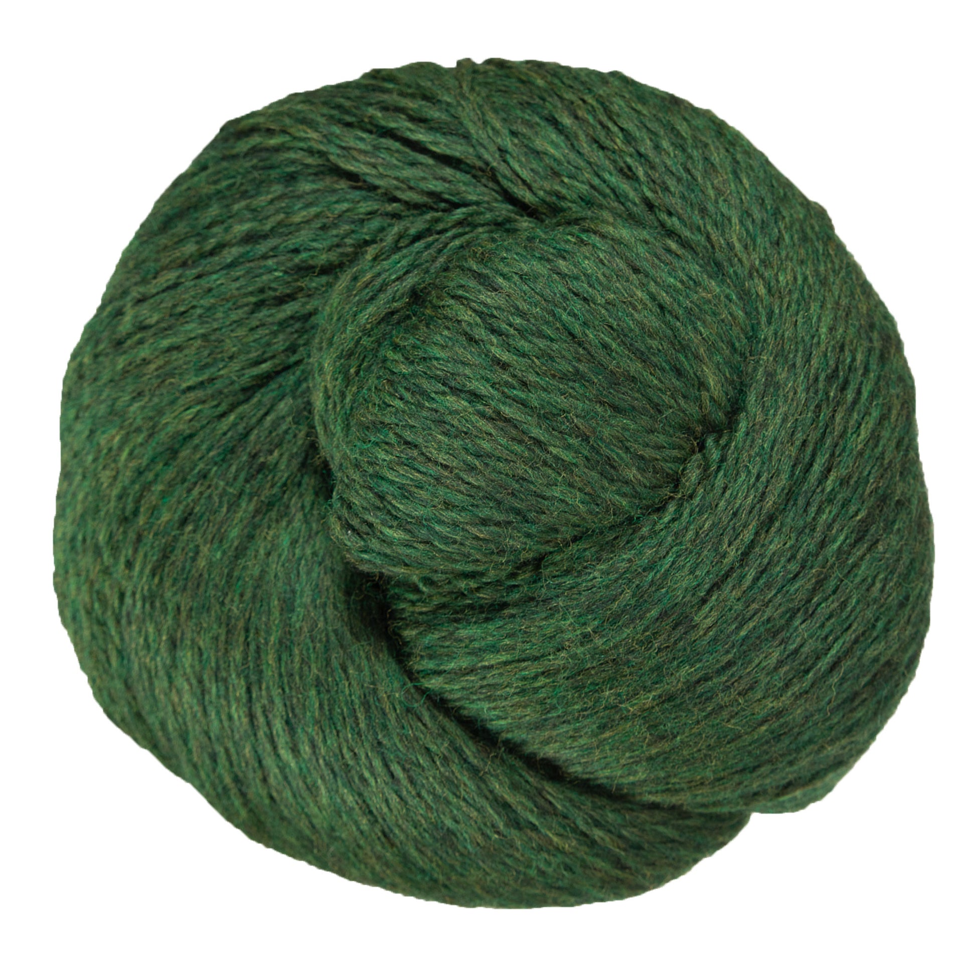 Cascade Yarns Eco+ Yarn - 2445 Shire - Zoom Image
