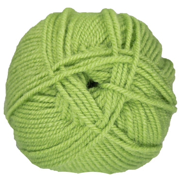 Plymouth Yarn Encore Worsted Yarn - 0451 Green Gremlin - Zoom Image