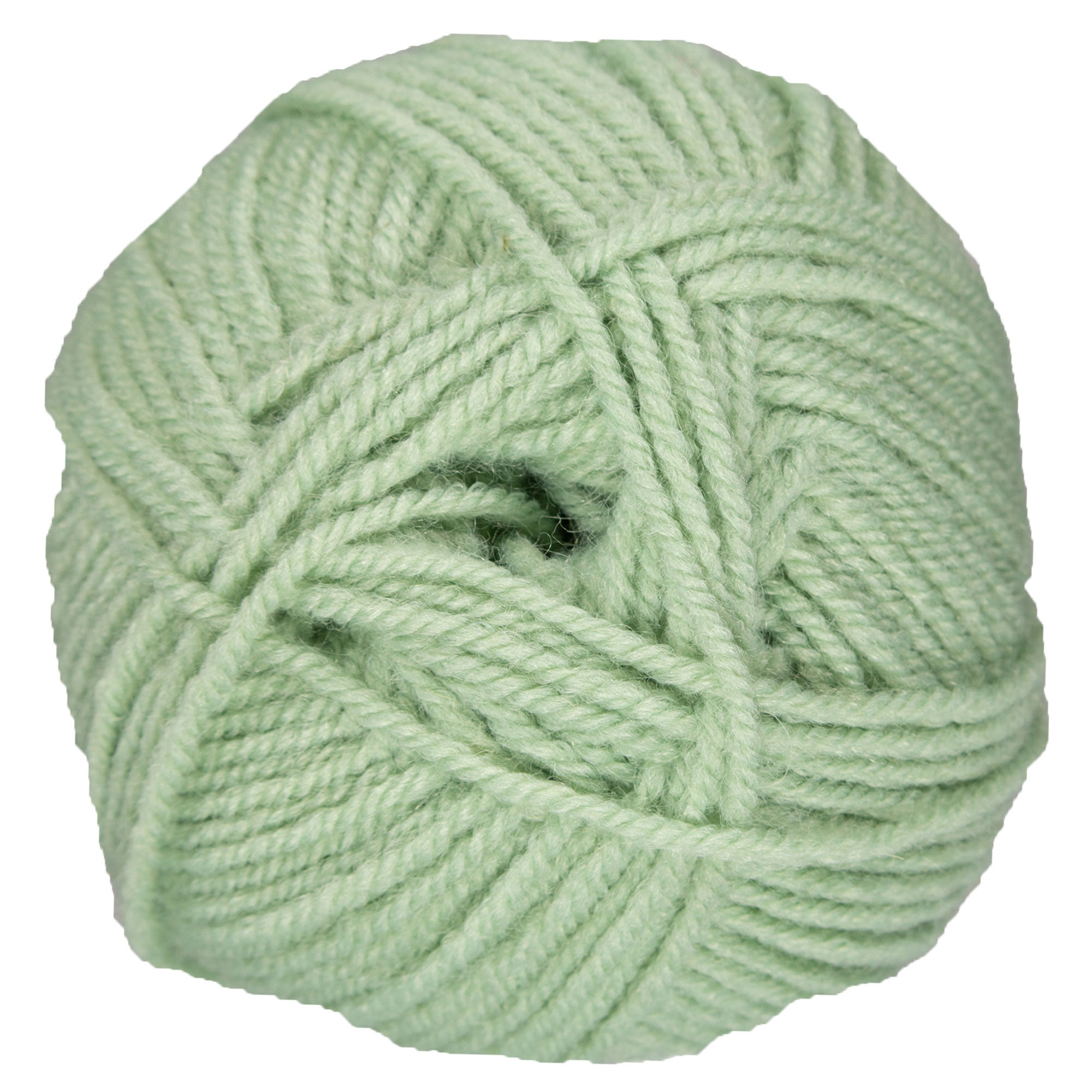 Plymouth Yarn Encore Worsted Yarn - 1231 Pale Greenhouse - Zoom Image