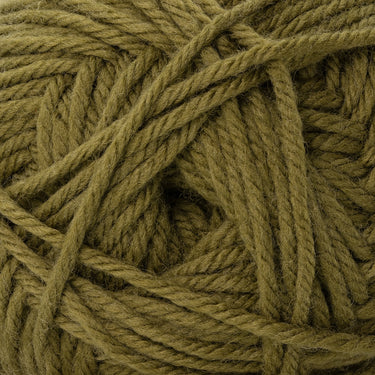 Cascade Yarns 220 Superwash Merino Yarn - 160 Fern Green
