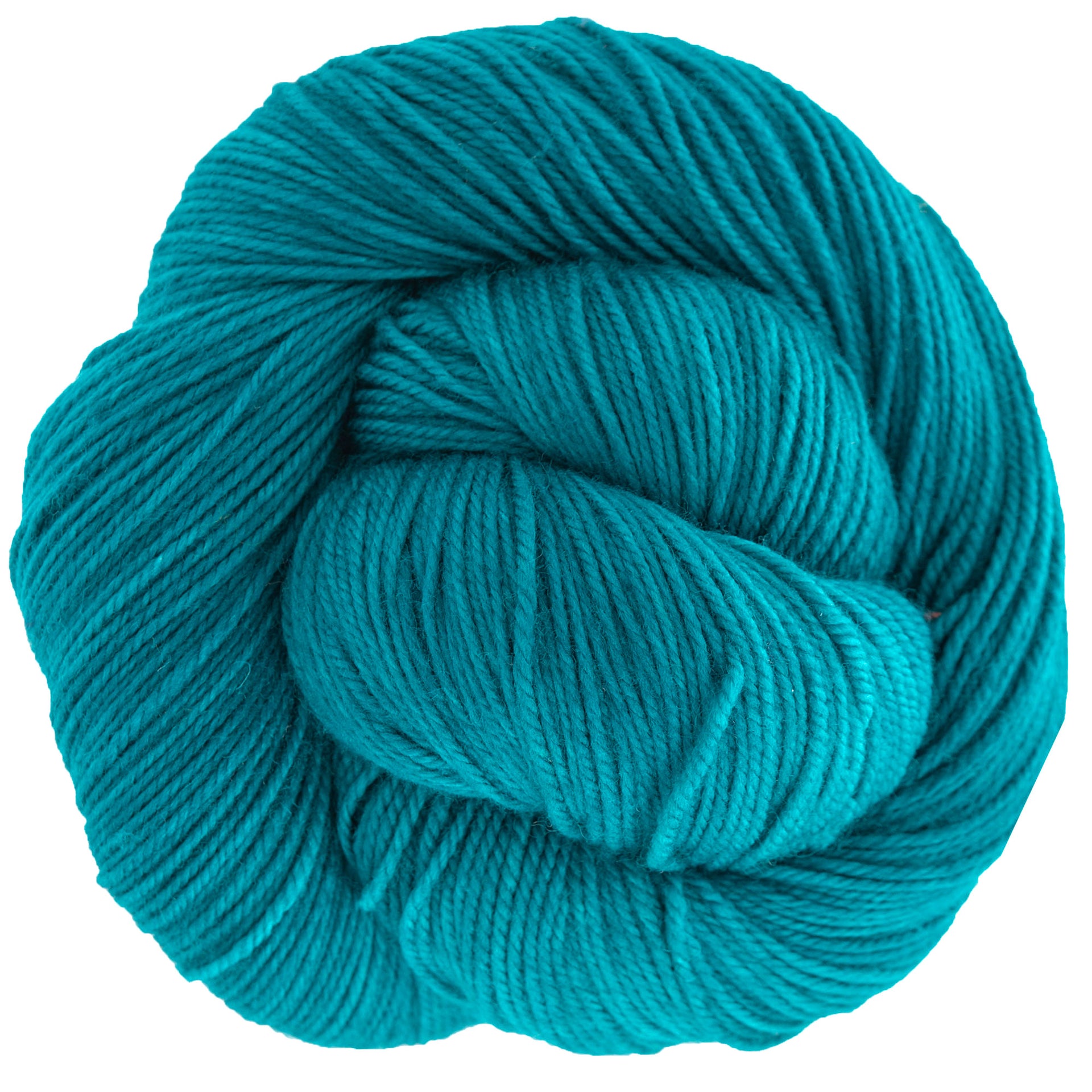 Dream in Color Smooshy Yarn - Bermuda Teal - Zoom Image

