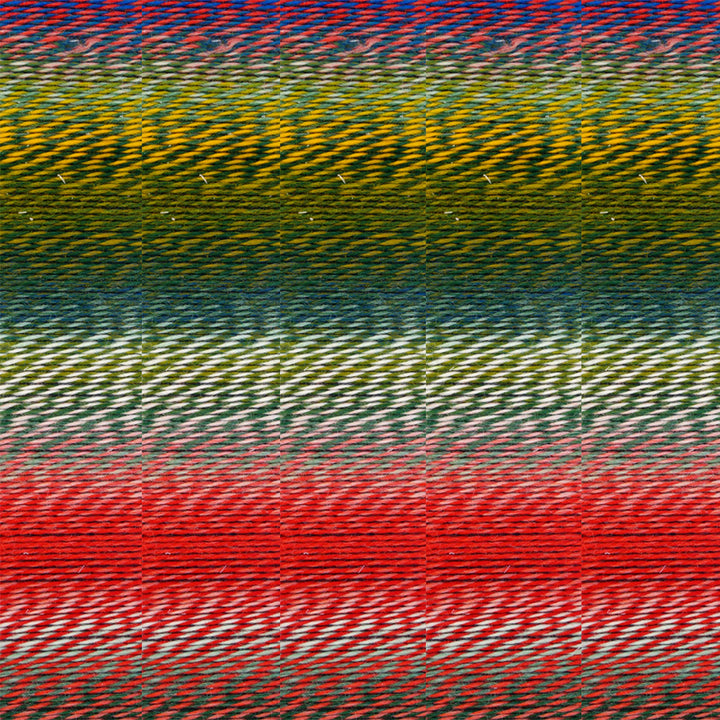 Schoppel Wolle Zauberball Crazy Yarn - 1701 - Zoom Image