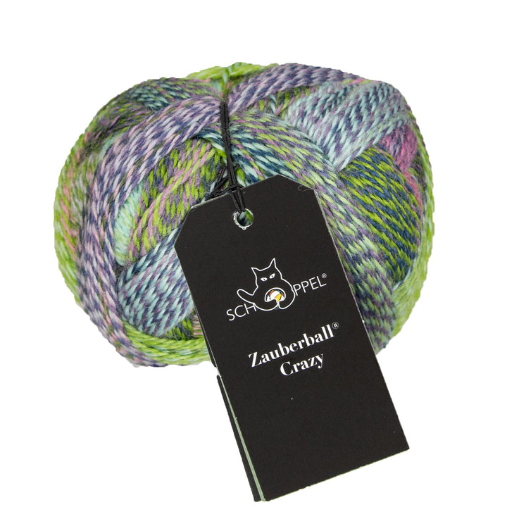 Schoppel Wolle Zauberball Crazy Yarn - 2170 - Extra Image