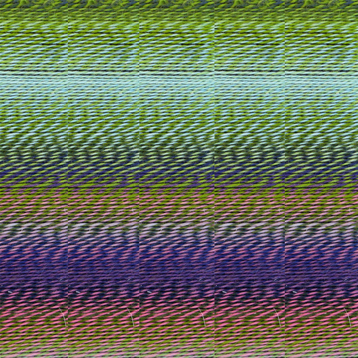 Schoppel Wolle Zauberball Crazy Yarn - 2170 - Zoom Image