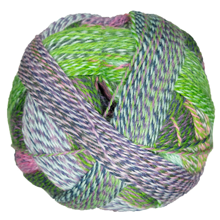 Schoppel Wolle Zauberball Crazy Yarn - 2170 - Extra Image
