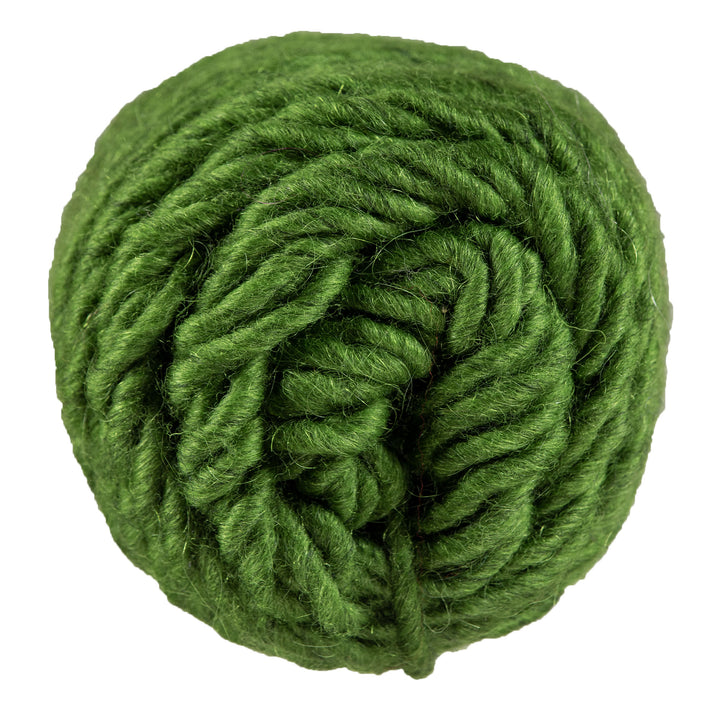 Brown Sheep Lamb's Pride Bulky Yarn - M191 - Kiwi - Zoom Image