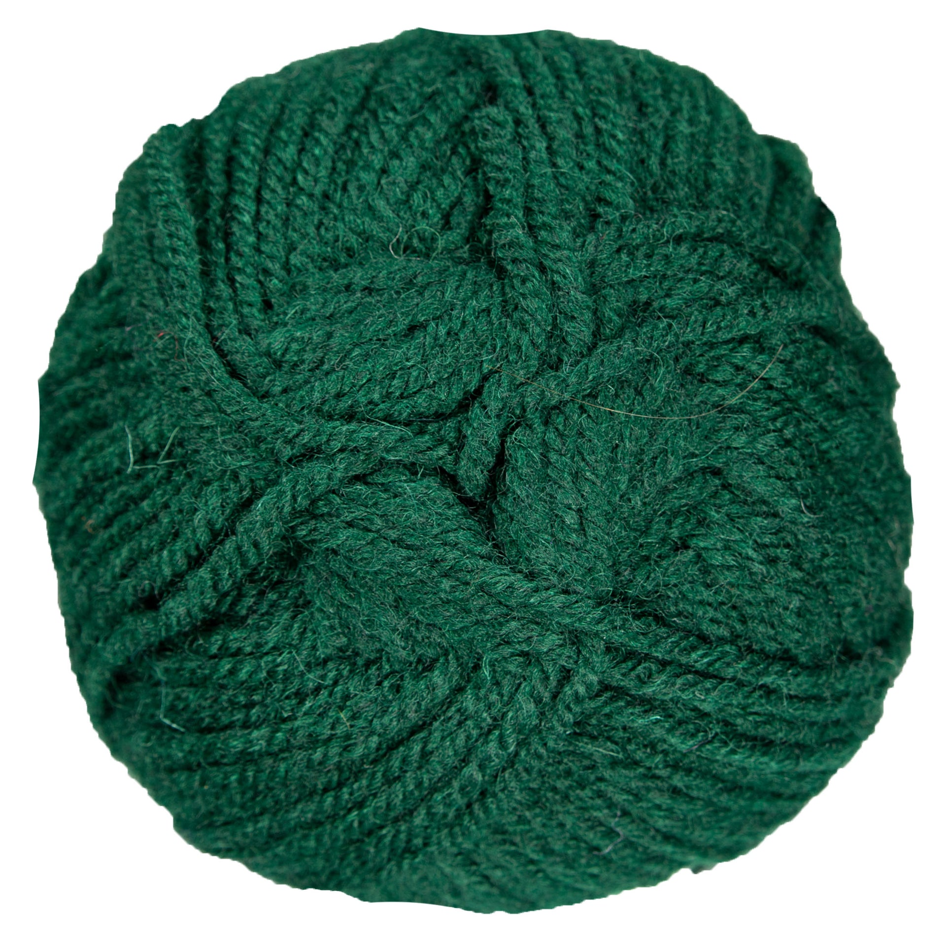 Plymouth Yarn Encore Worsted Yarn - 0204 Forest Green - Zoom Image
