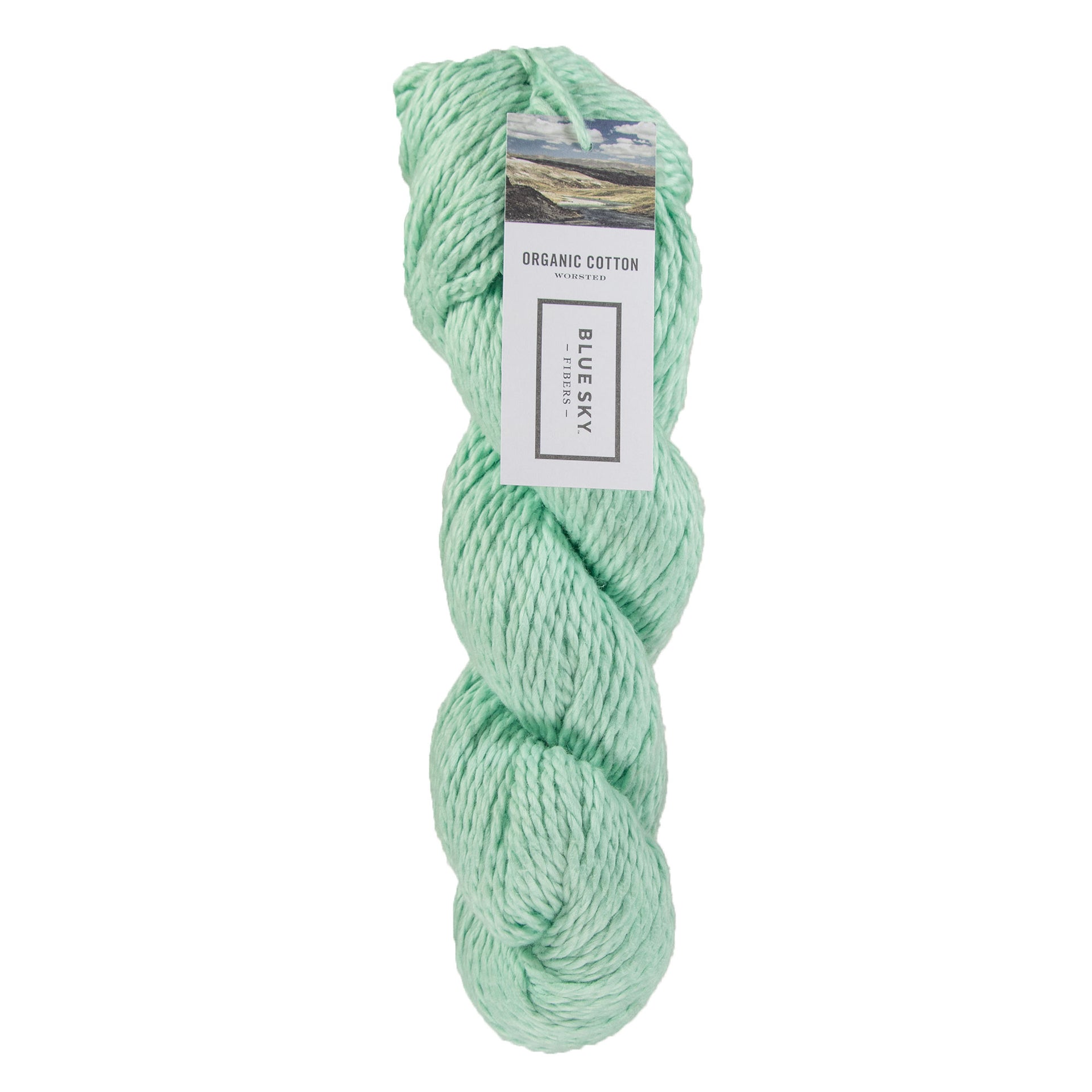 Blue Sky Fibers Organic Cotton Yarn - 604 - Aloe - Zoom Image
