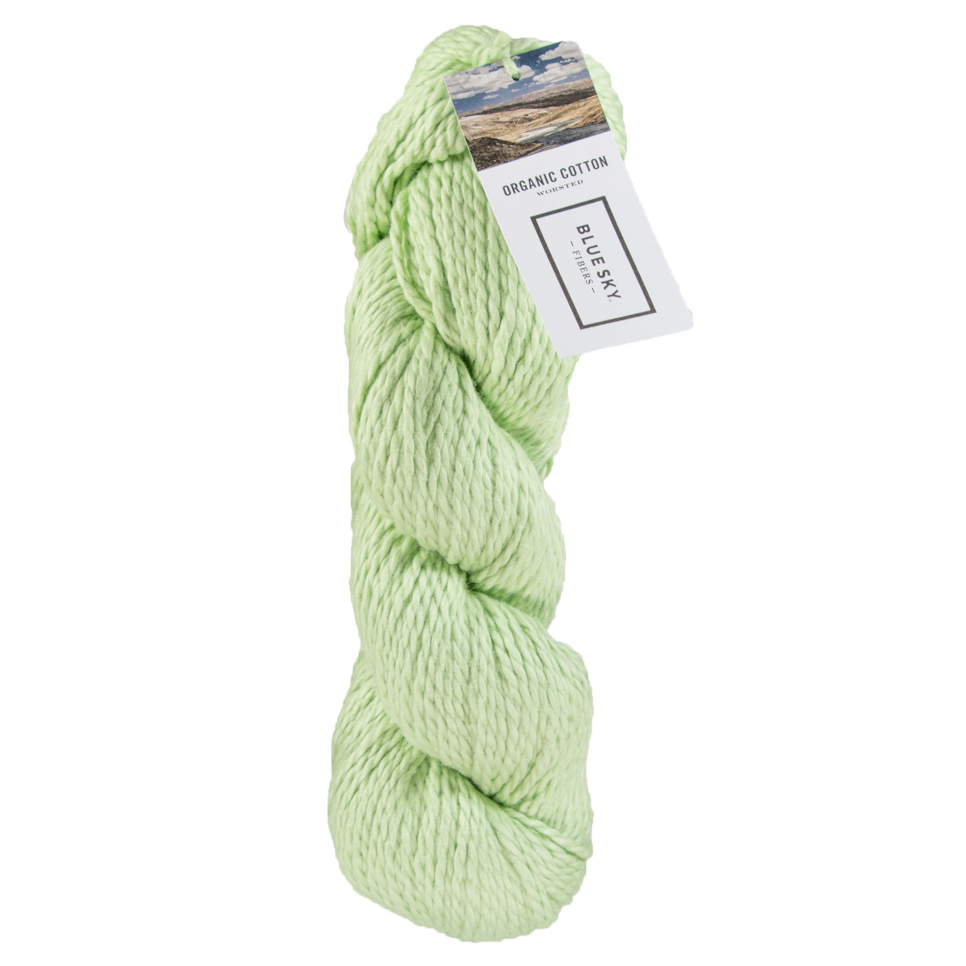 Blue Sky Fibers Organic Cotton Yarn - 602 - Honeydew - Zoom Image
