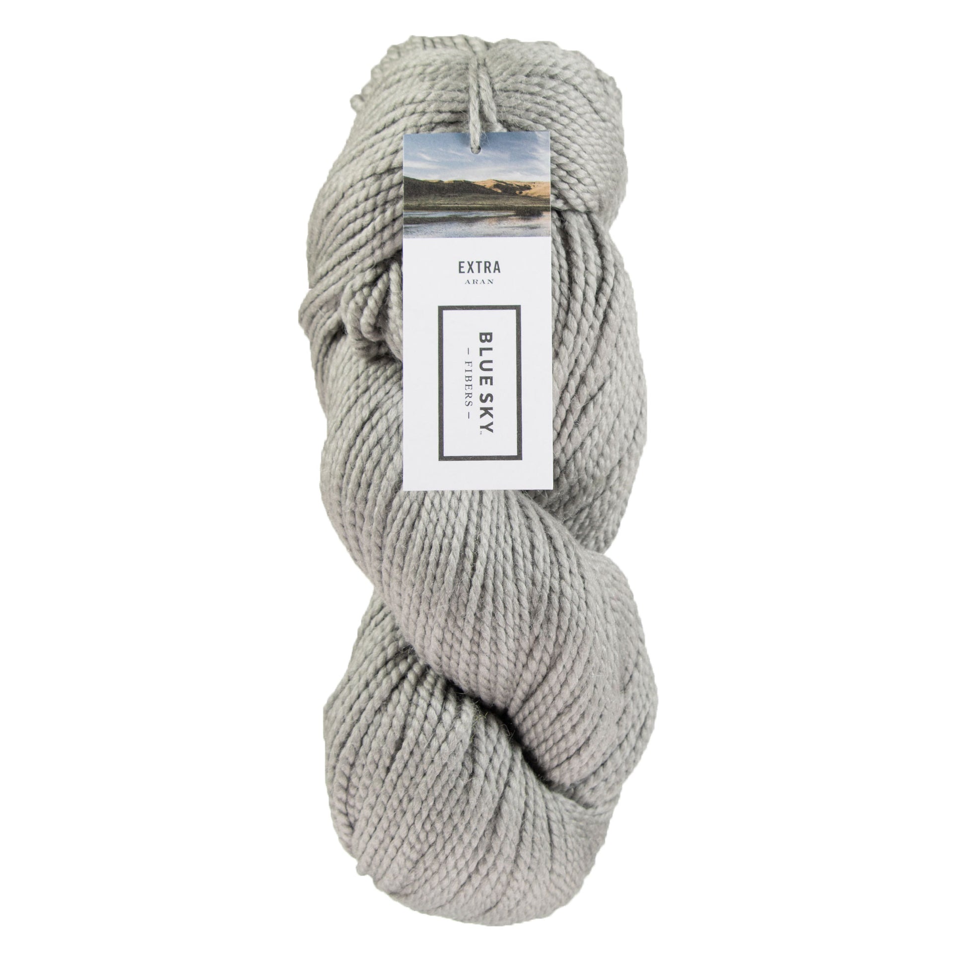 Blue Sky Fibers Extra Yarn - 3520 Shale - Zoom Image
