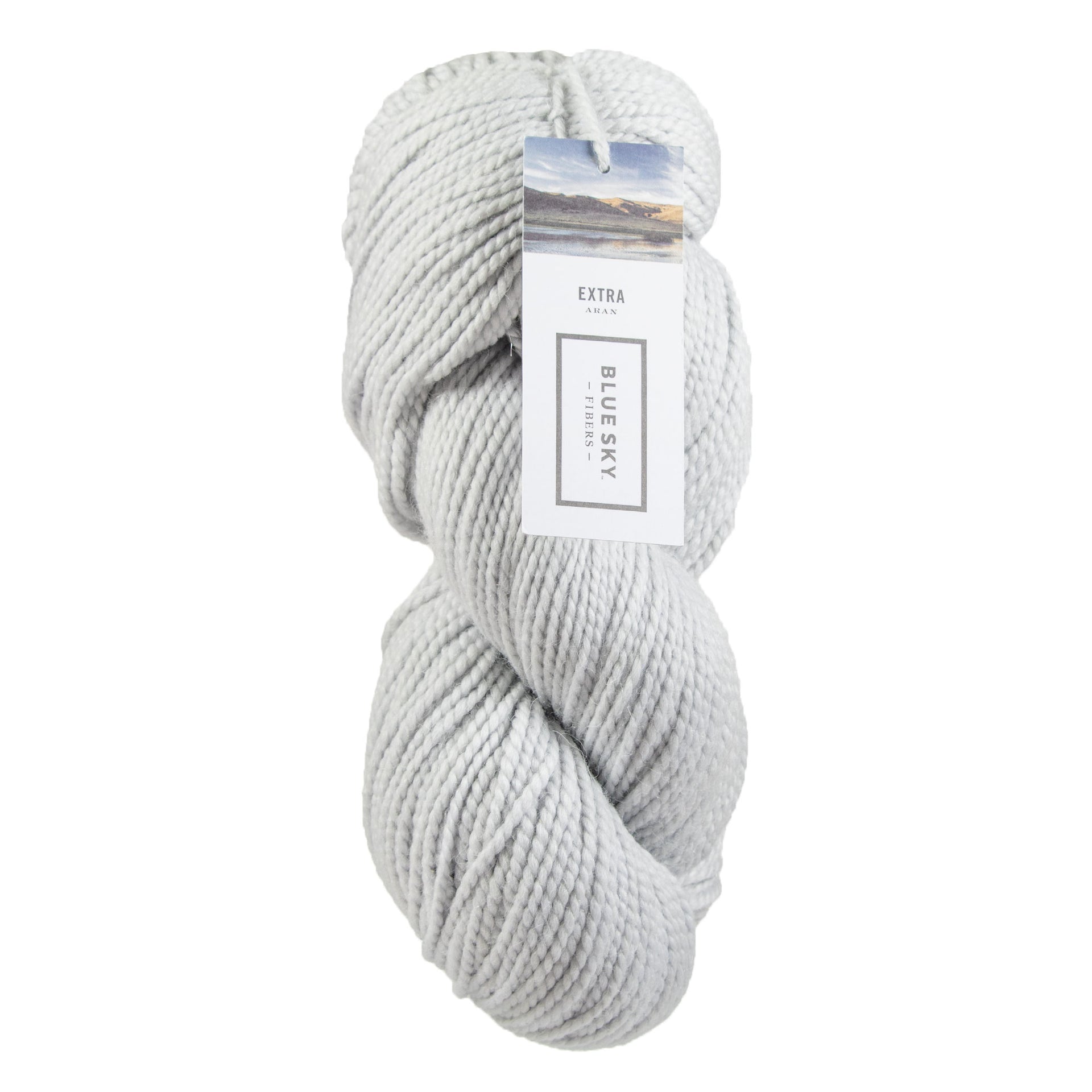 Blue Sky Fibers Extra Yarn - 3521 Lake Ice - Zoom Image

