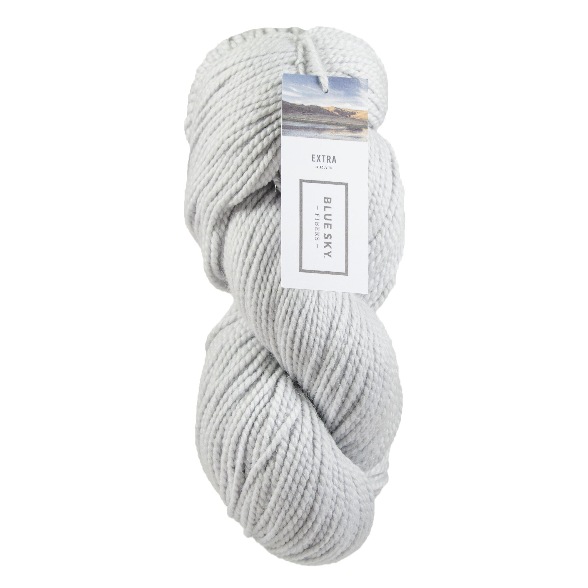 Blue Sky Fibers Extra Yarn - 3521 Lake Ice - Zoom Image