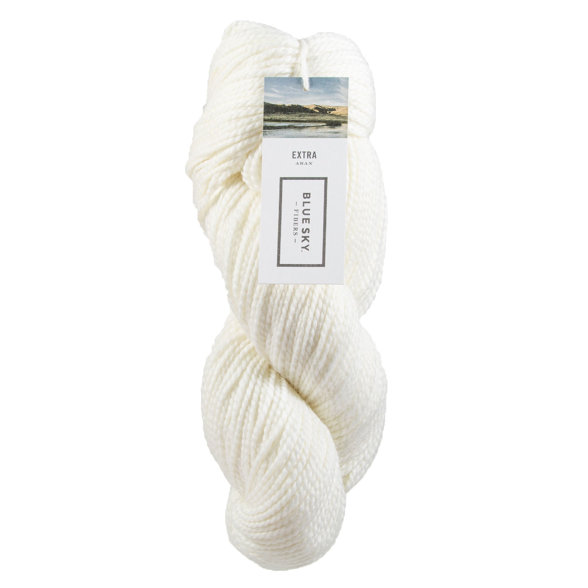 Blue Sky Fibers Extra Yarn - 3522 Arctic Circle - Zoom Image
