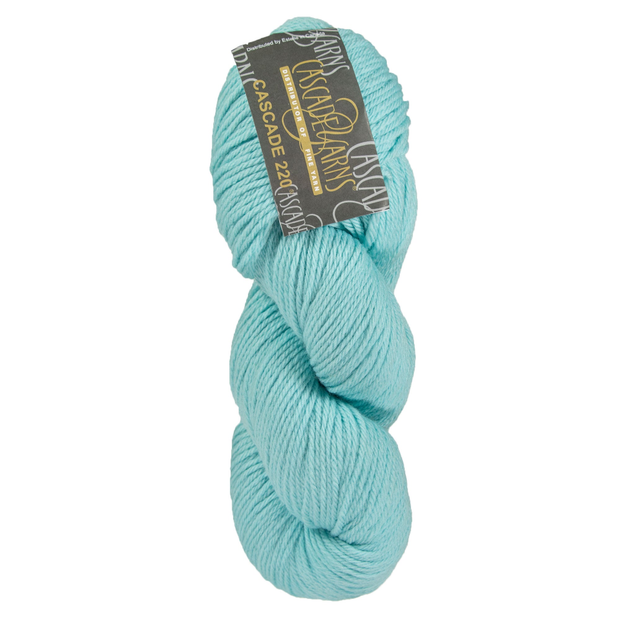 Cascade 220 Yarn - 9634 Aqua Haze - Zoom Image