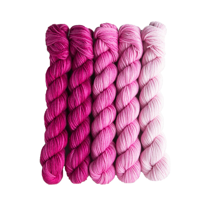 SweetGeorgia Tough Love Sock Party of Five Mini-Skein Set Yarn - Hanami - Zoom Image