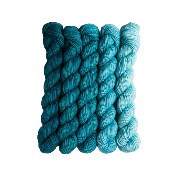 SweetGeorgia Tough Love Sock Party of Five Mini-Skein Set Yarn - Swell - Zoom Image