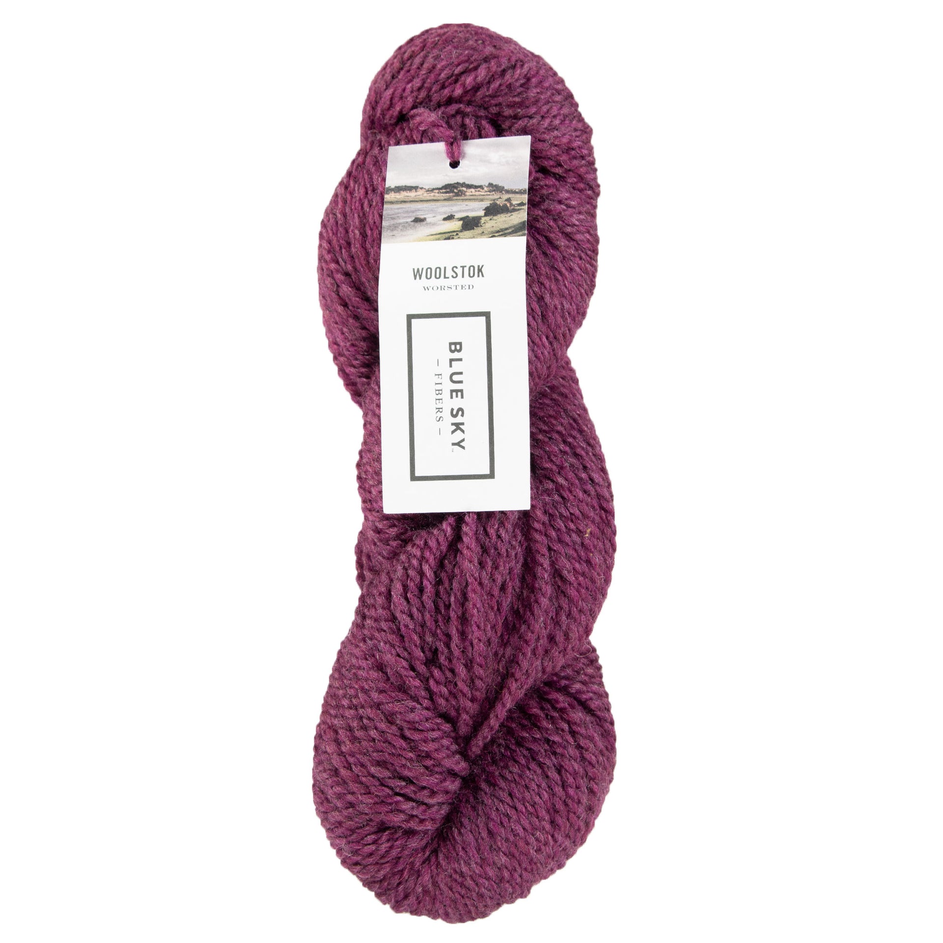 Blue Sky Fibers Woolstok Yarn - 1307 Pressed Grapes - Zoom Image
