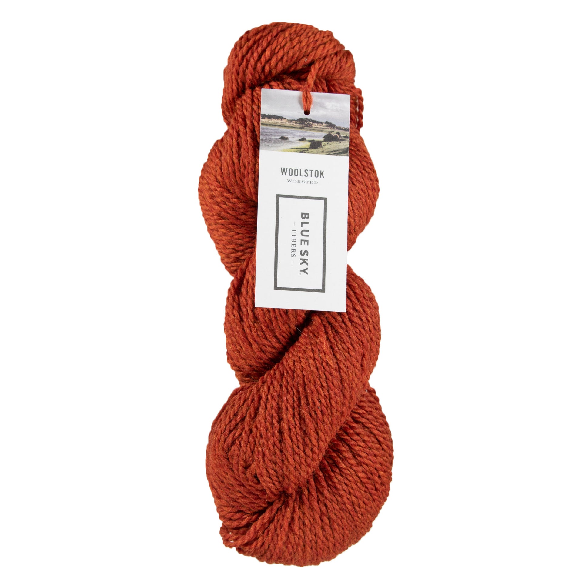 Blue Sky Fibers Woolstok Yarn - 1311 Rusted Roof - Zoom Image
