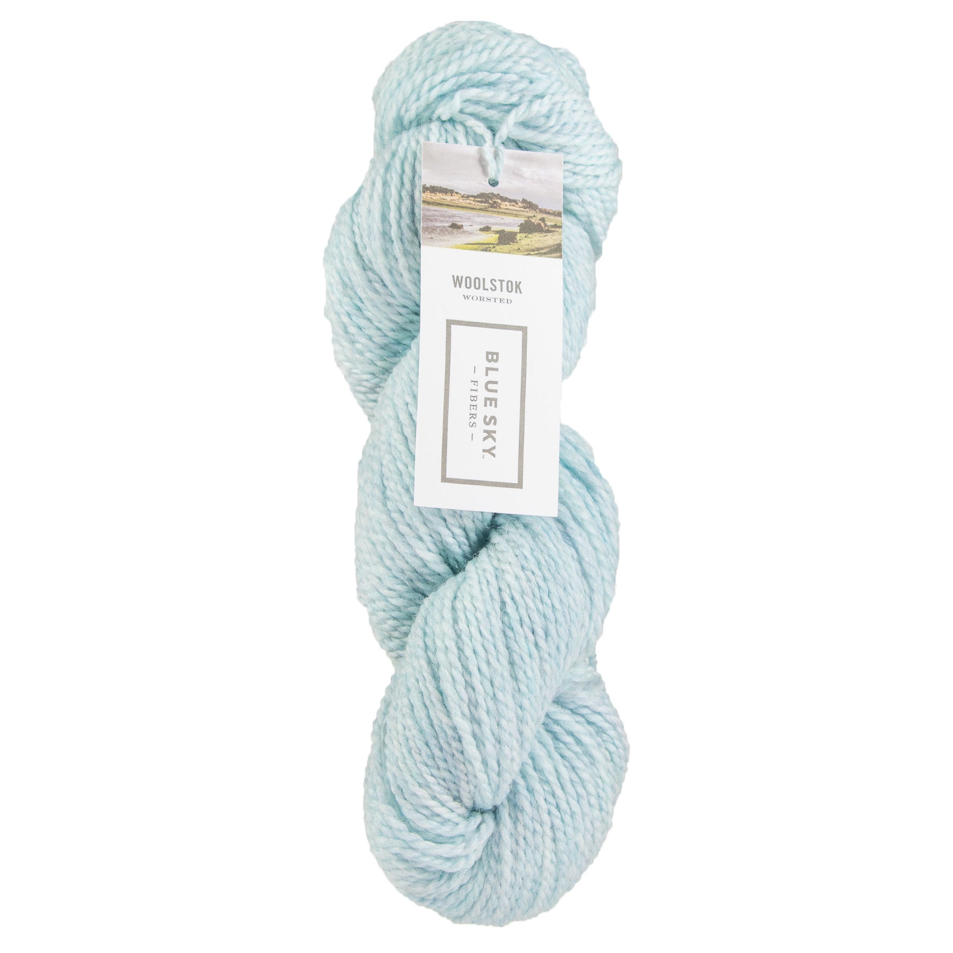 Blue Sky Fibers Woolstok Yarn - 1318 Thermal Spring - Zoom Image
