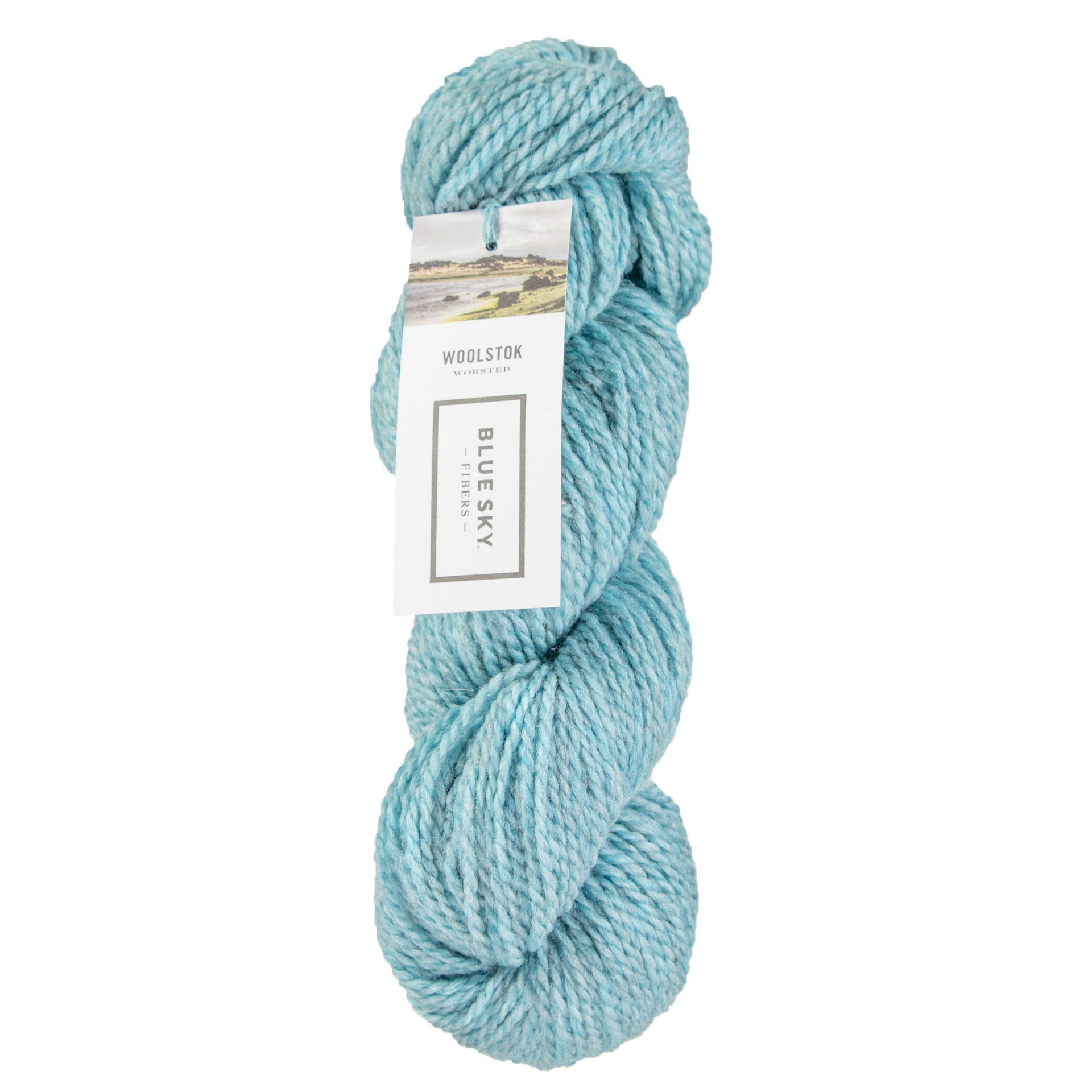 Blue Sky Fibers Woolstok Yarn - 1320 Spring Ice - Zoom Image
