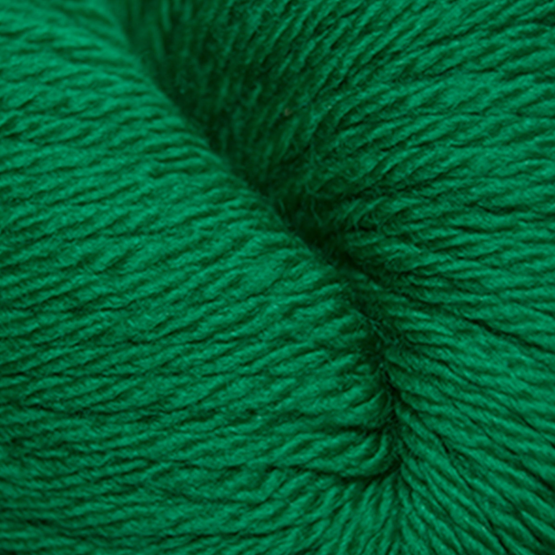 Cascade Yarns 220 Superwash Sport Yarn - 0864 Christmas Green - Zoom Image
