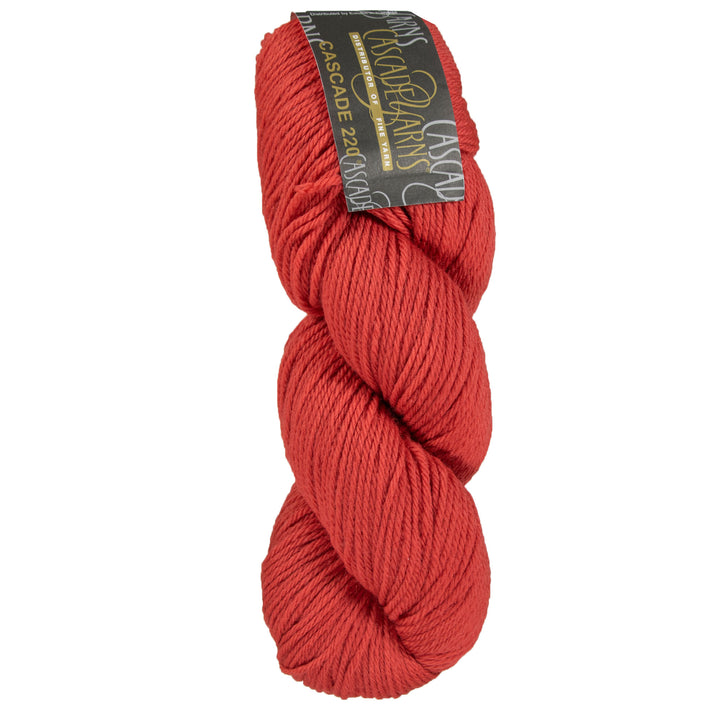 Cascade 220 Yarn - 9668 Paprika - Zoom Image