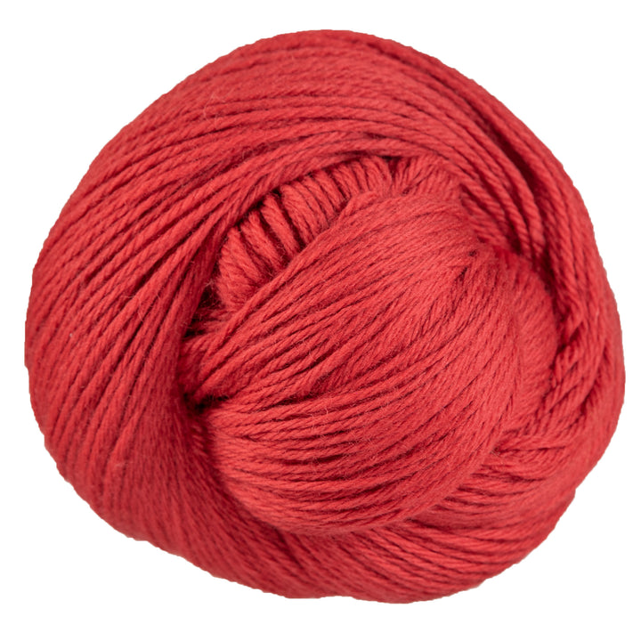 Cascade 220 Yarn - 9668 Paprika - Zoom Image