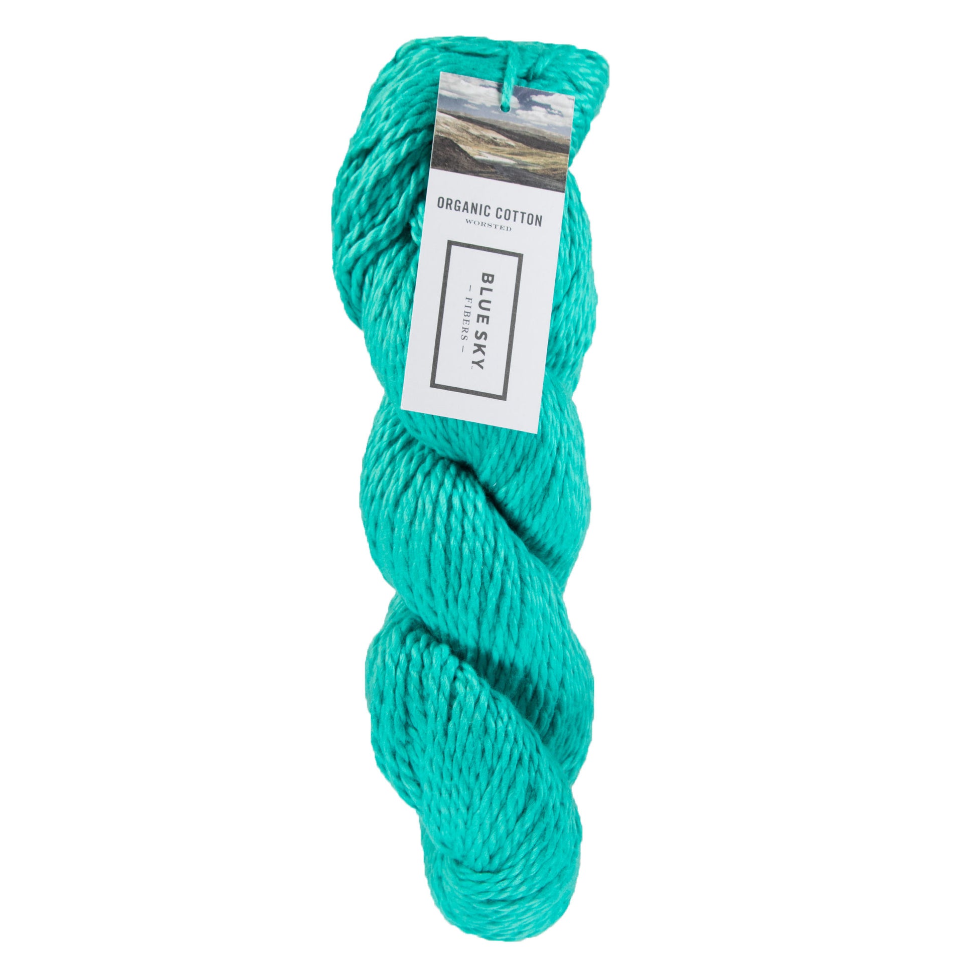 Blue Sky Fibers Organic Cotton Yarn - 630 - Caribbean - Zoom Image
