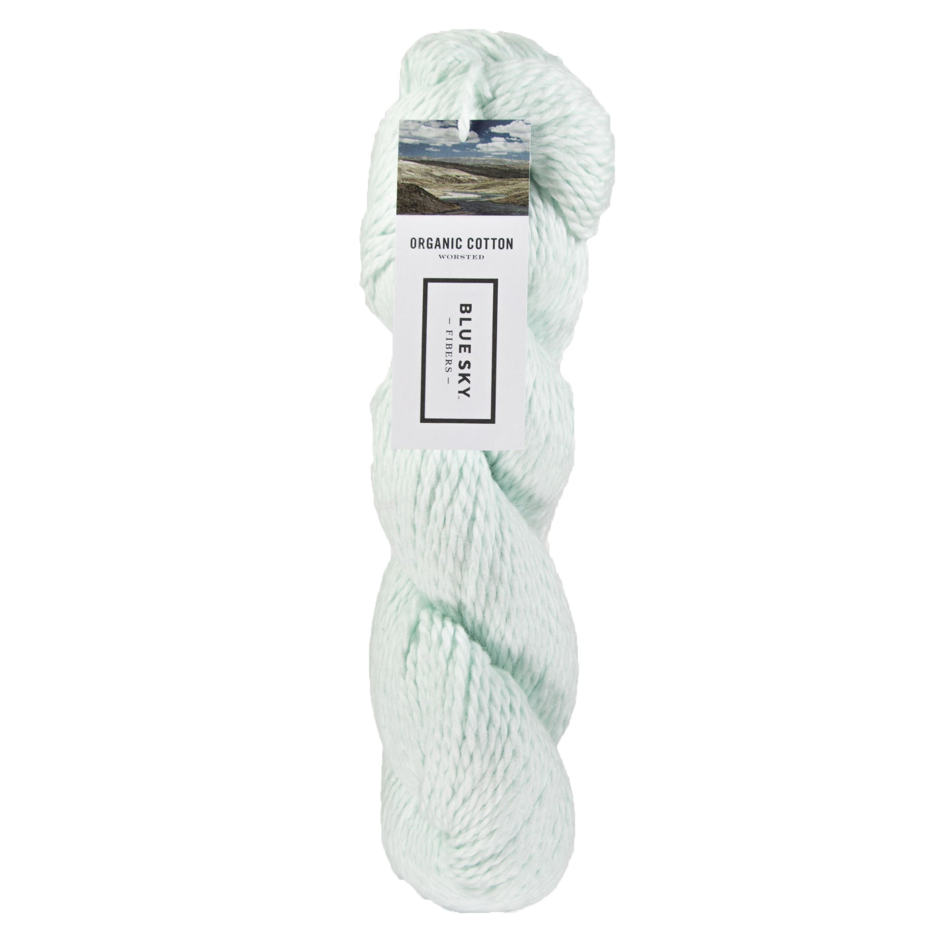 Blue Sky Fibers Organic Cotton Yarn - 646 - Buttermint - Zoom Image
