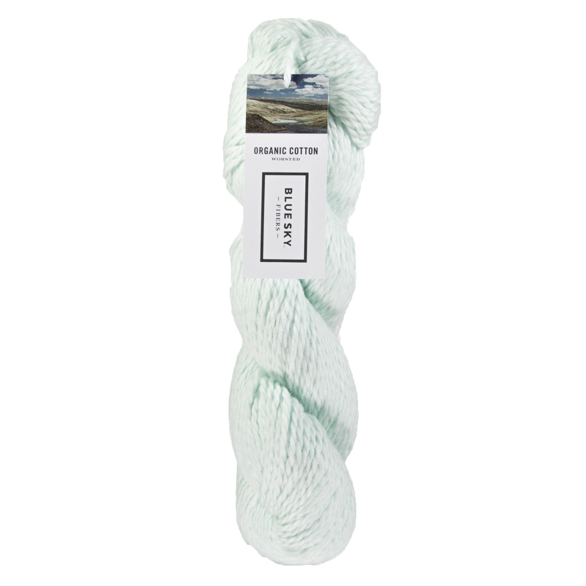Blue Sky Fibers Organic Cotton Yarn - 646 - Buttermint - Zoom Image