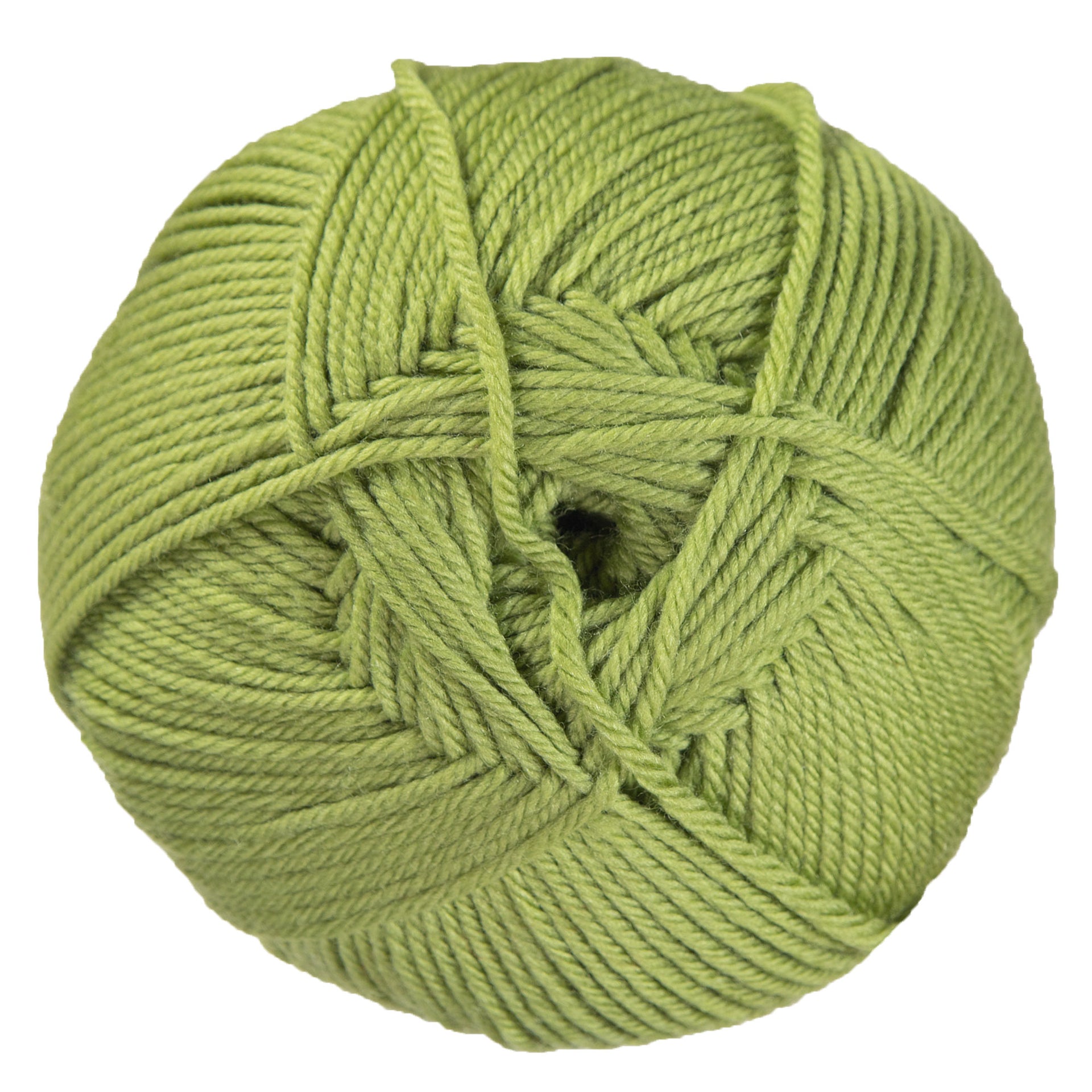 Cascade Yarns 220 Superwash Merino Yarn - 058 Iguana - Zoom Image
