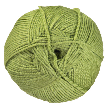 Cascade Yarns 220 Superwash Merino Yarn - 058 Iguana - Zoom Image