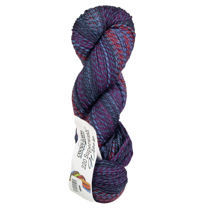 Cascade Yarns 220 Superwash Wave Yarn - 104 Berries - Zoom Image