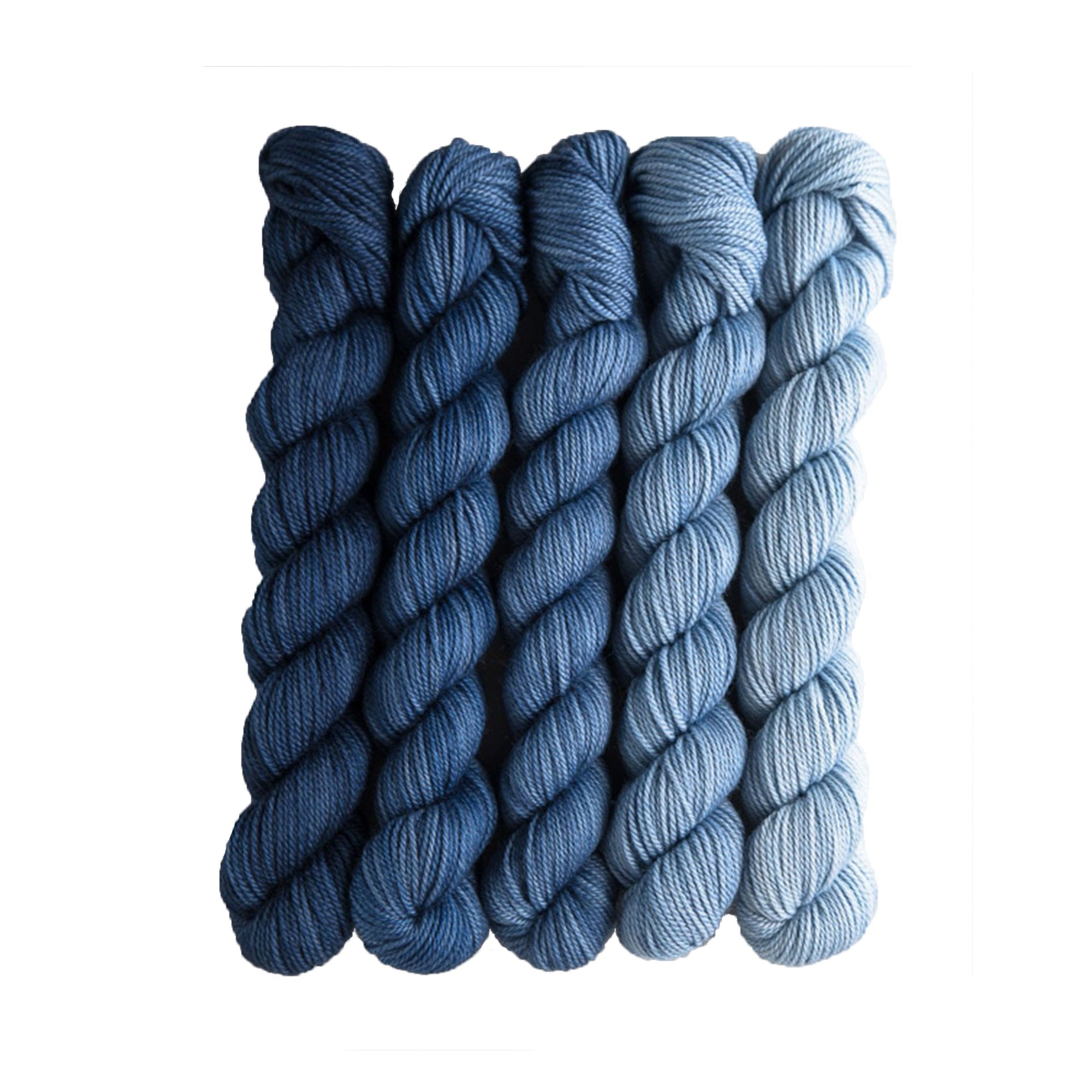 SweetGeorgia Tough Love Sock Party of Five Mini-Skein Set Yarn - Voyage - Zoom Image
