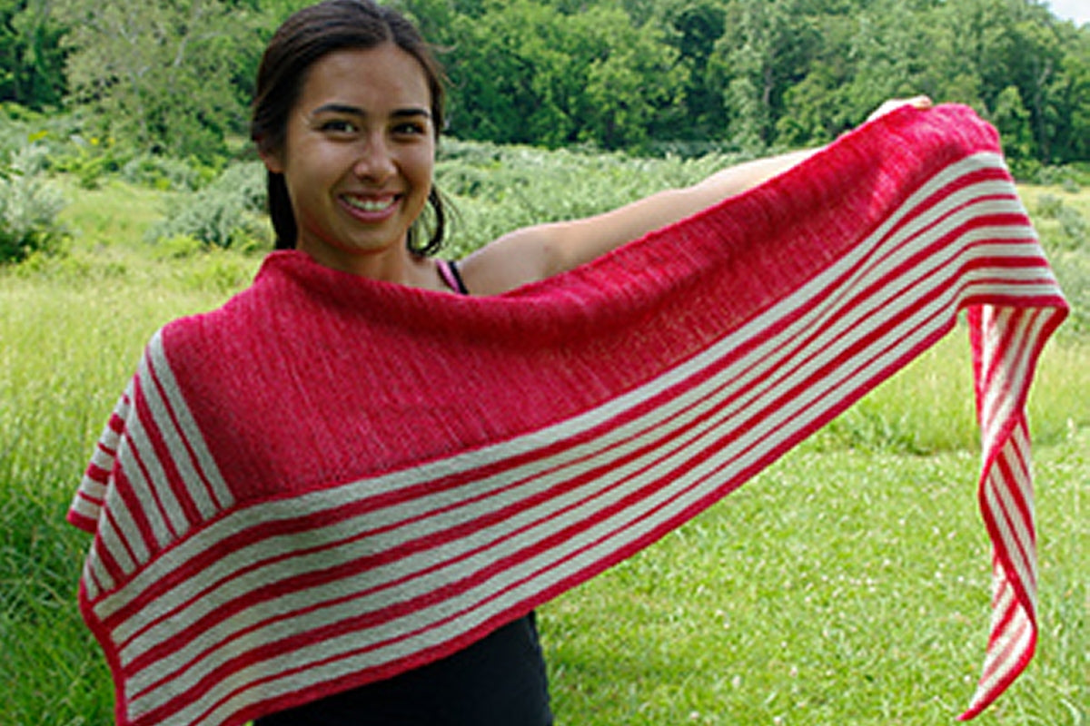 Nancy Whitman Patterns - A New Slant - PDF Download - Extra Image