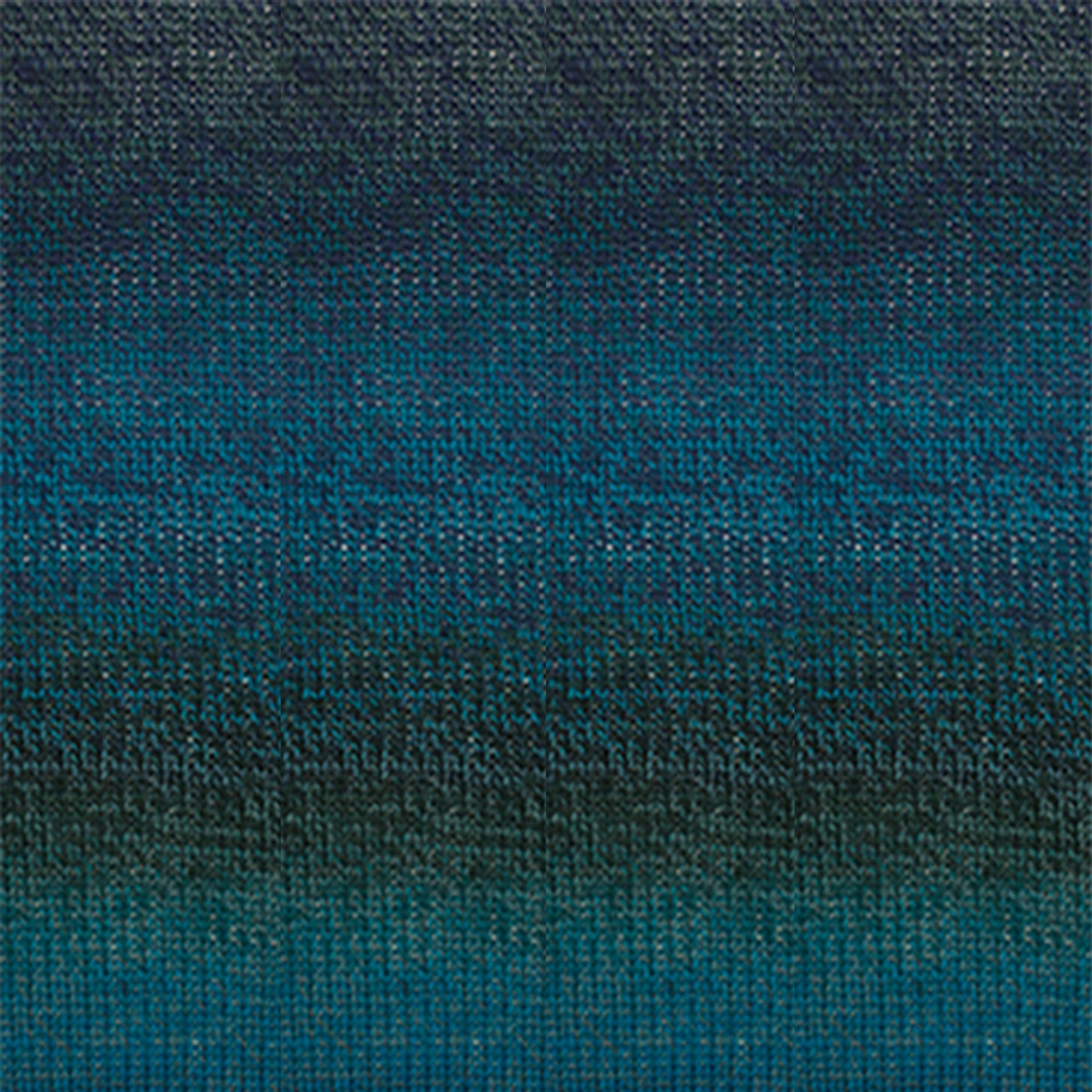 Cascade Yarns 220 Superwash Wave Yarn - 116 Deep Sea - Zoom Image
