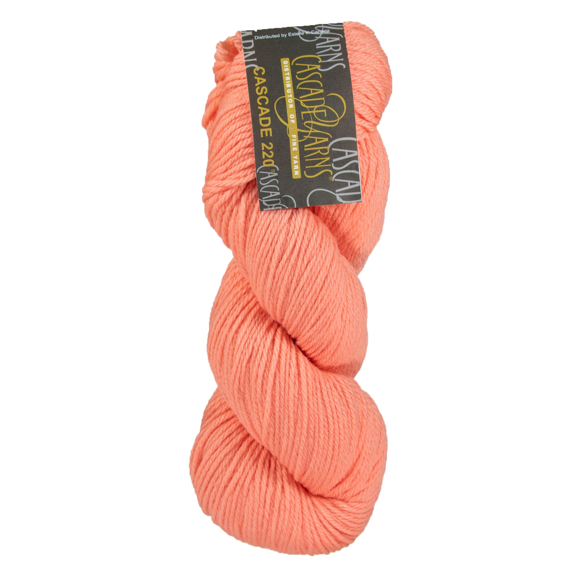 Cascade 220 Yarn - 9682 Desert Flower - Zoom Image
