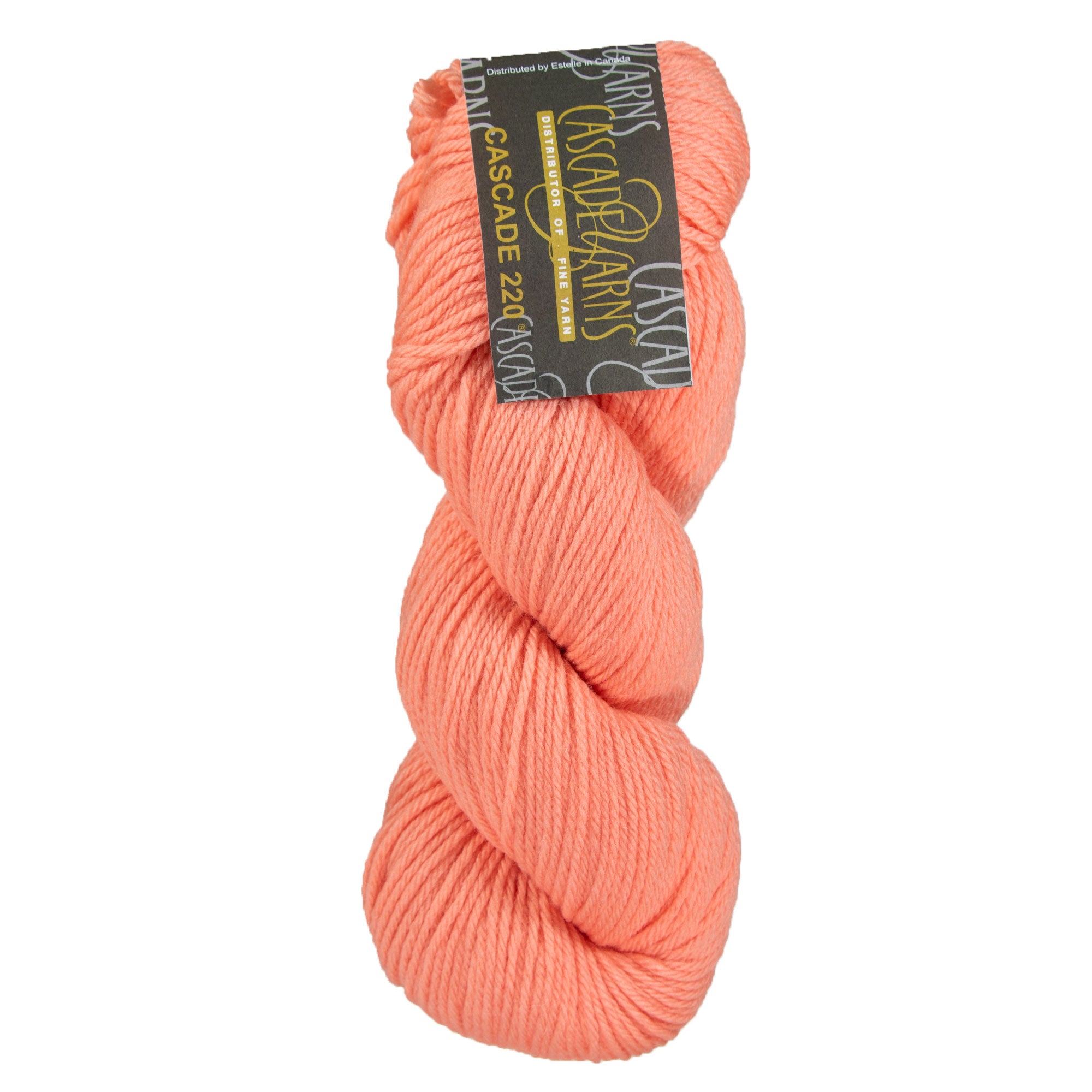 Cascade 220 Yarn - 9682 Desert Flower - Zoom Image